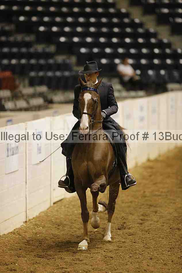 Proof 13buck_0295