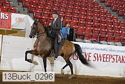 13buck_0296 proof
