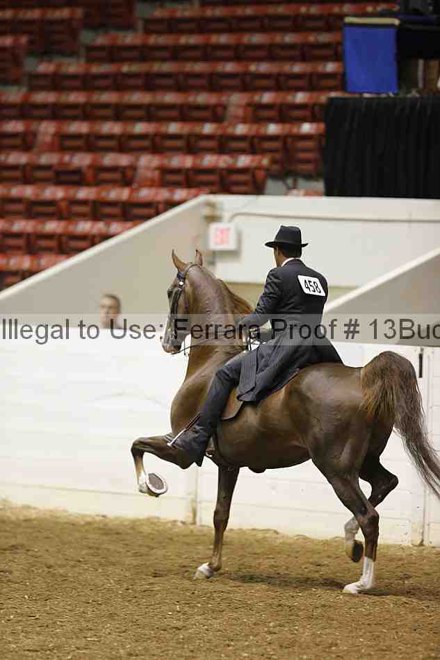 Proof 13buck_0297