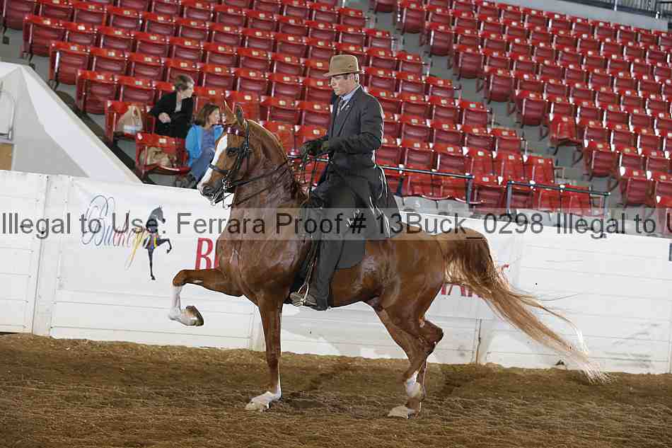 Proof 13buck_0298