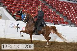 13buck_0298 proof