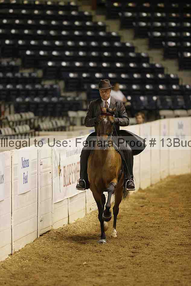Proof 13buck_0299
