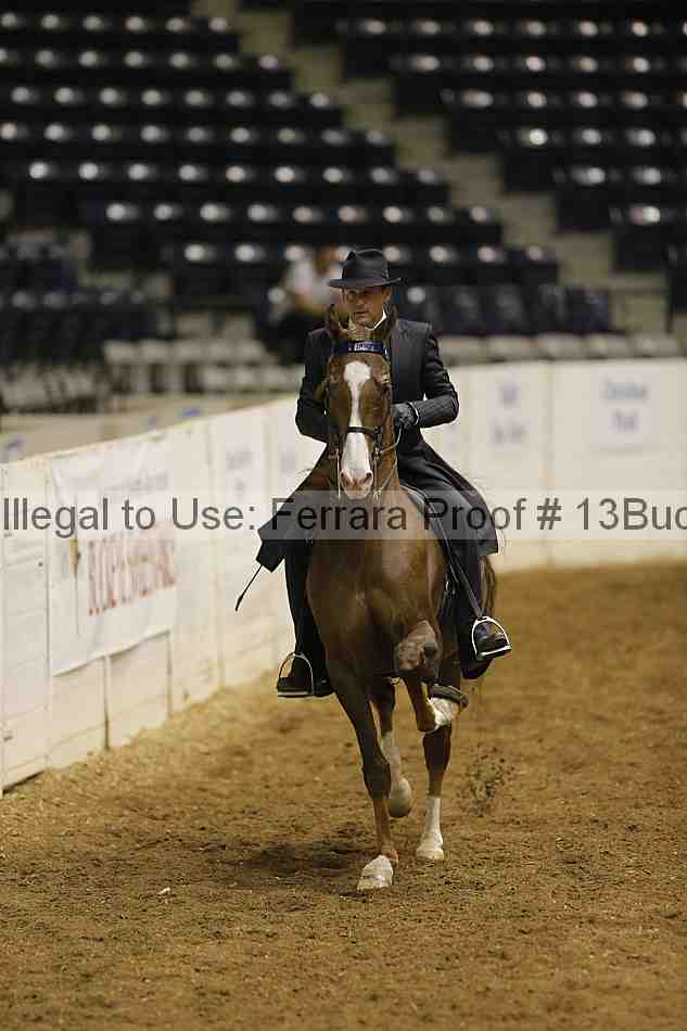 Proof 13buck_0301