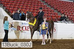 13buck_0302 proof