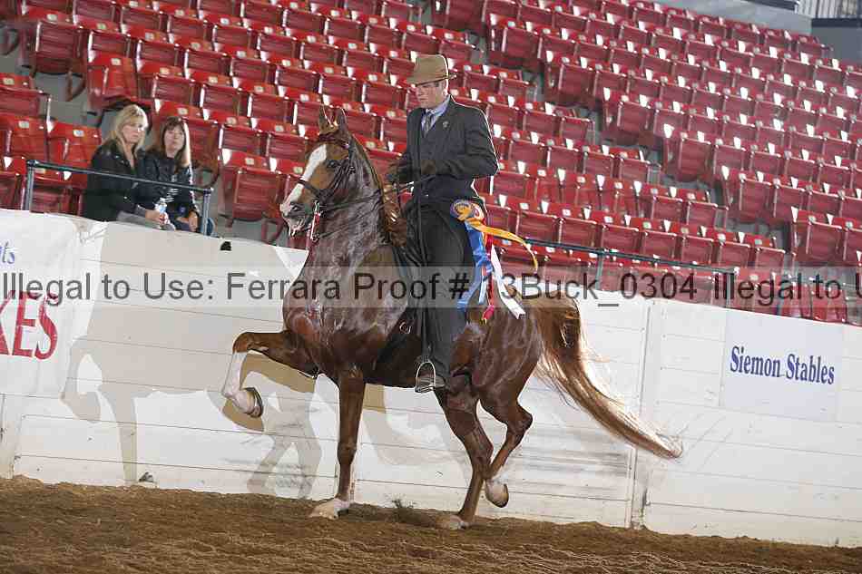 Proof 13buck_0304