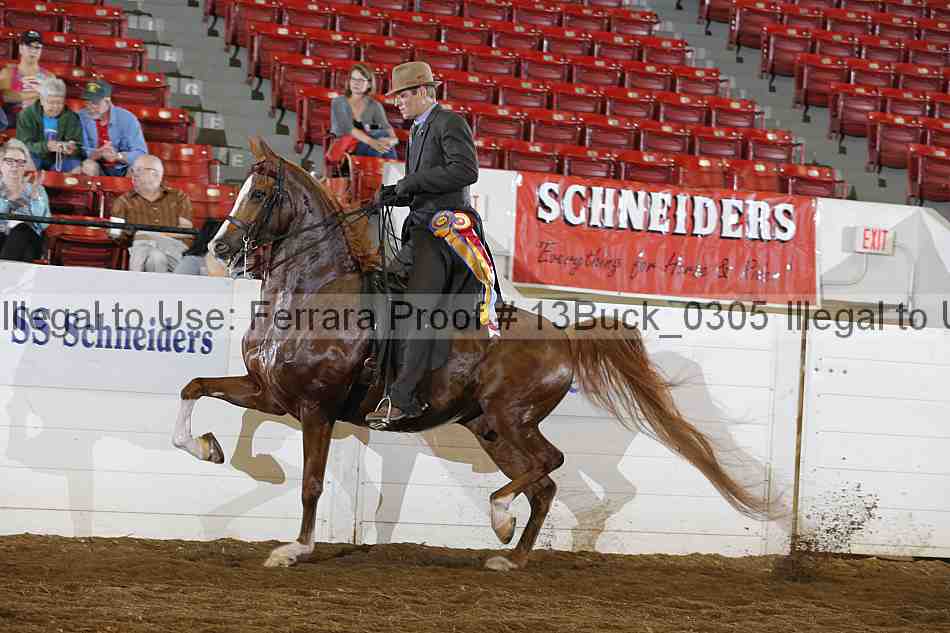 Proof 13buck_0305