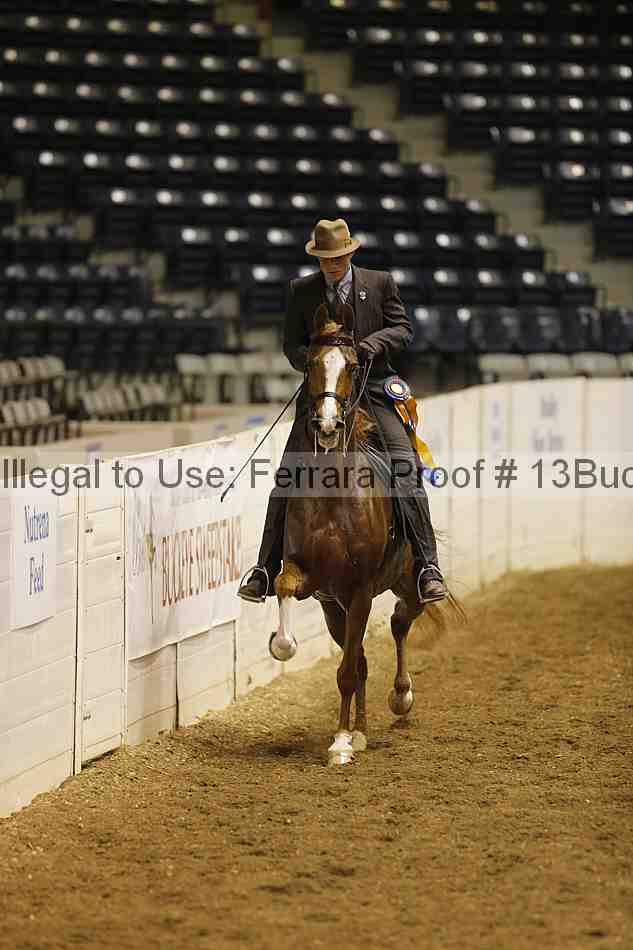 Proof 13buck_0306