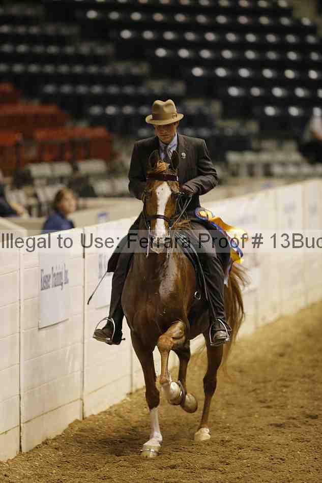 Proof 13buck_0307