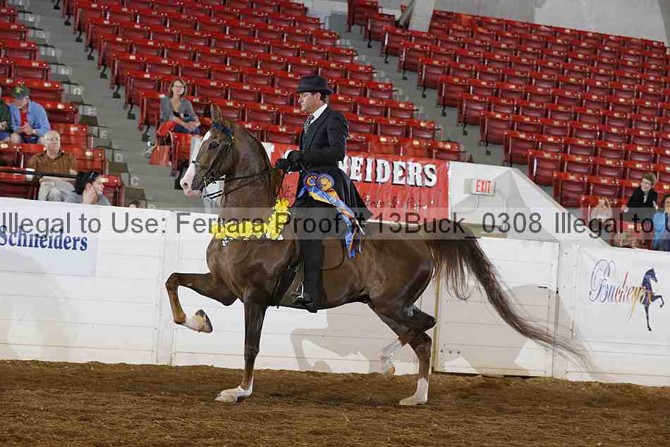 Proof 13buck_0308