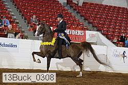 13buck_0308 proof
