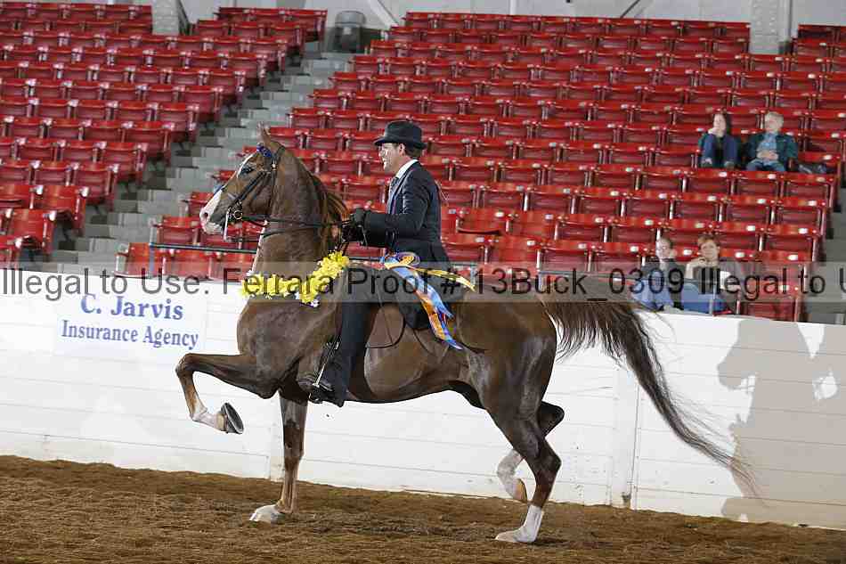 Proof 13buck_0309