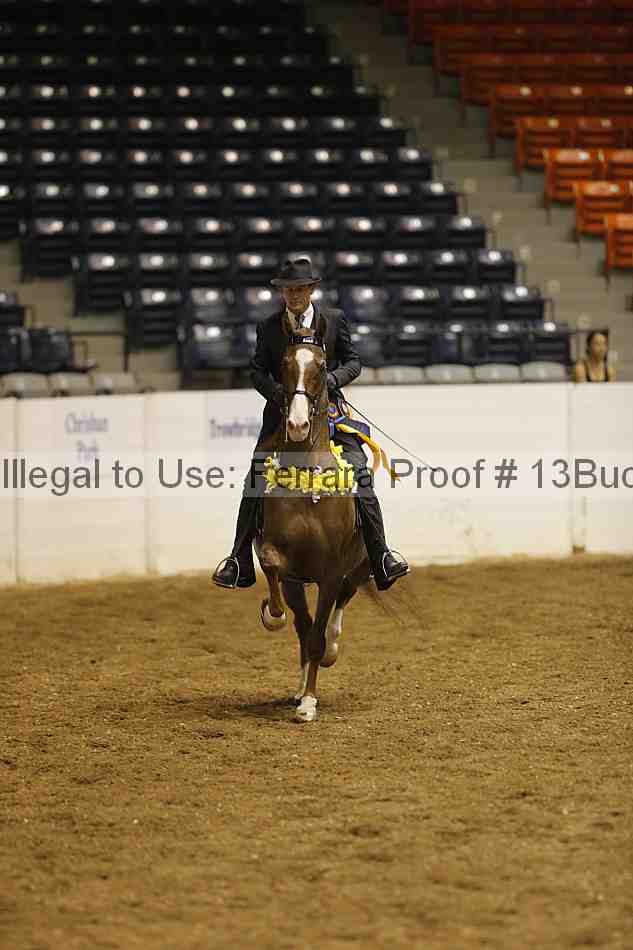 Proof 13buck_0310