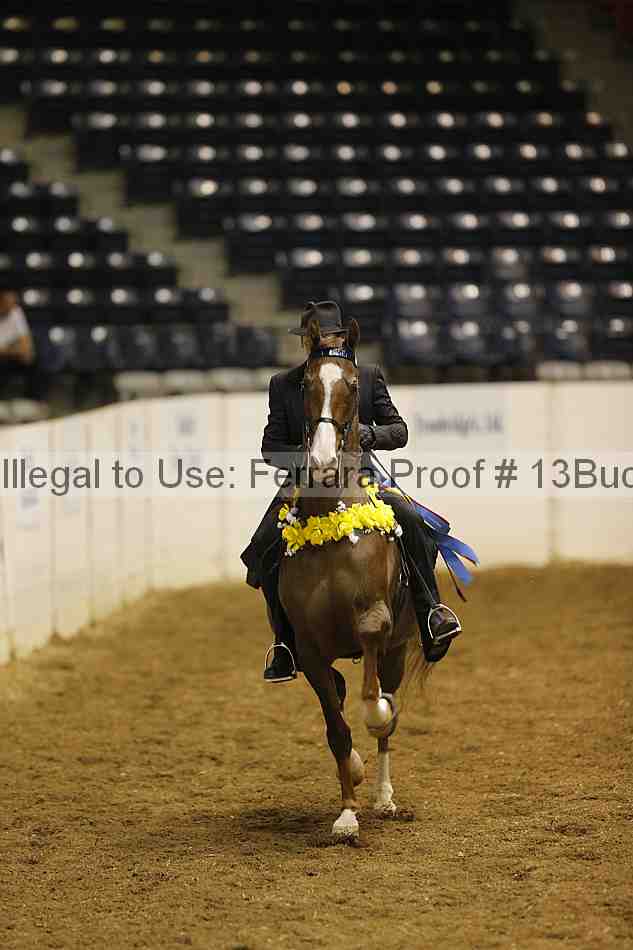 Proof 13buck_0311