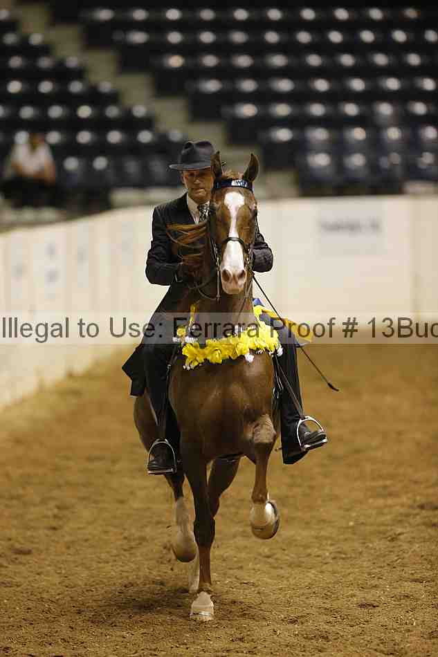 Proof 13buck_0312