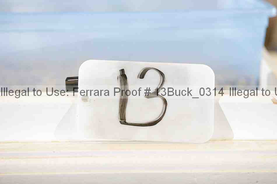 Proof 13buck_0314