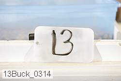 13buck_0314 proof
