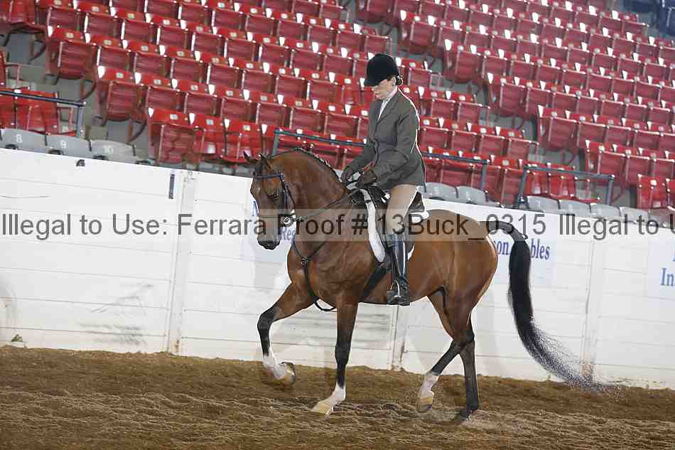 Proof 13buck_0315