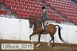 13buck_0315 proof