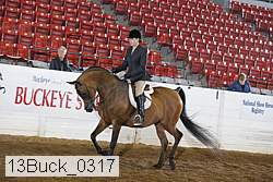 13buck_0317 proof