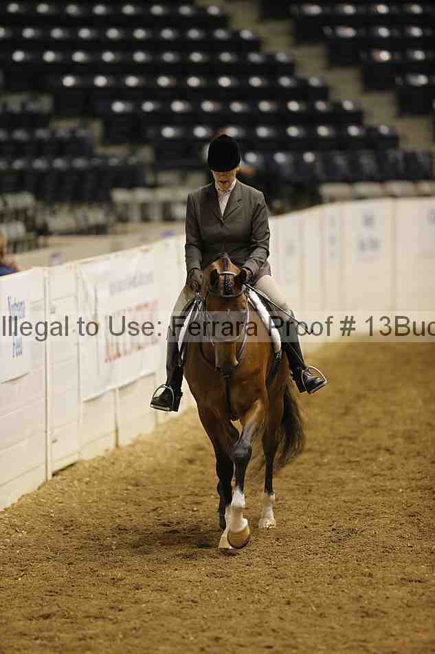 Proof 13buck_0318