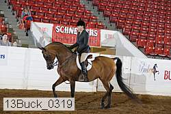 13buck_0319 proof