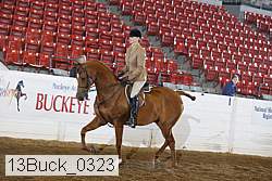13buck_0323 proof