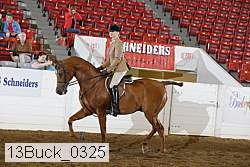 13buck_0325 proof