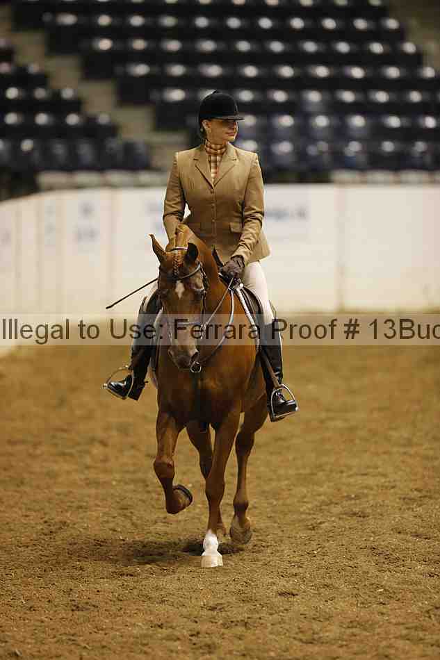 Proof 13buck_0326