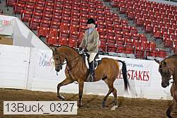 13buck_0327 proof