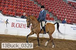 13buck_0329 proof
