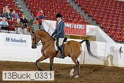 13buck_0331 proof