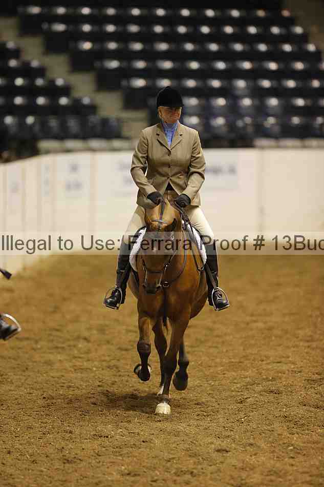 Proof 13buck_0332
