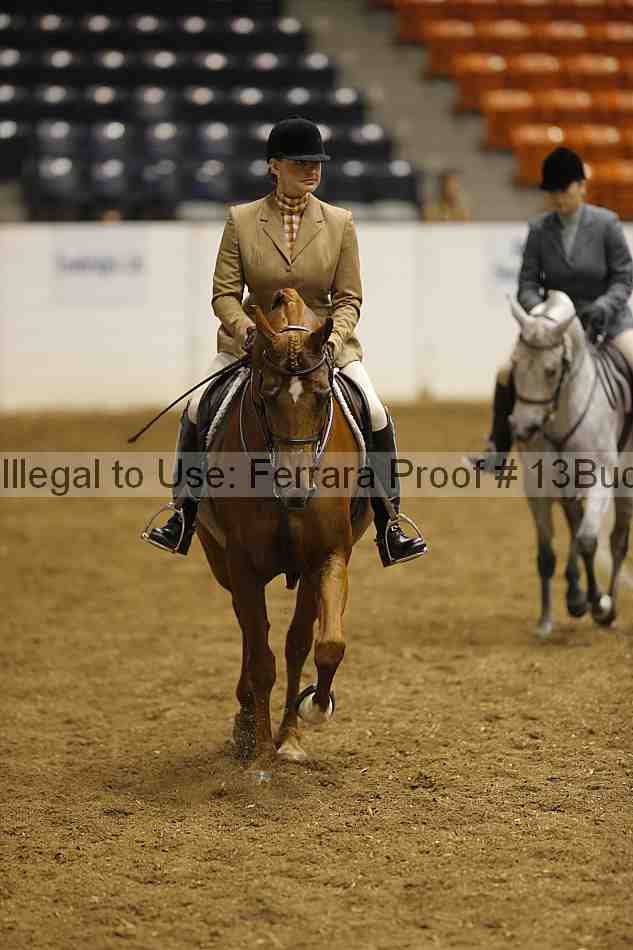 Proof 13buck_0335