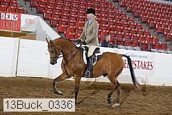 13buck_0336 proof