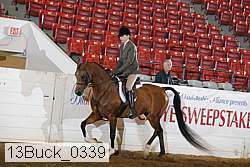 13buck_0339 proof
