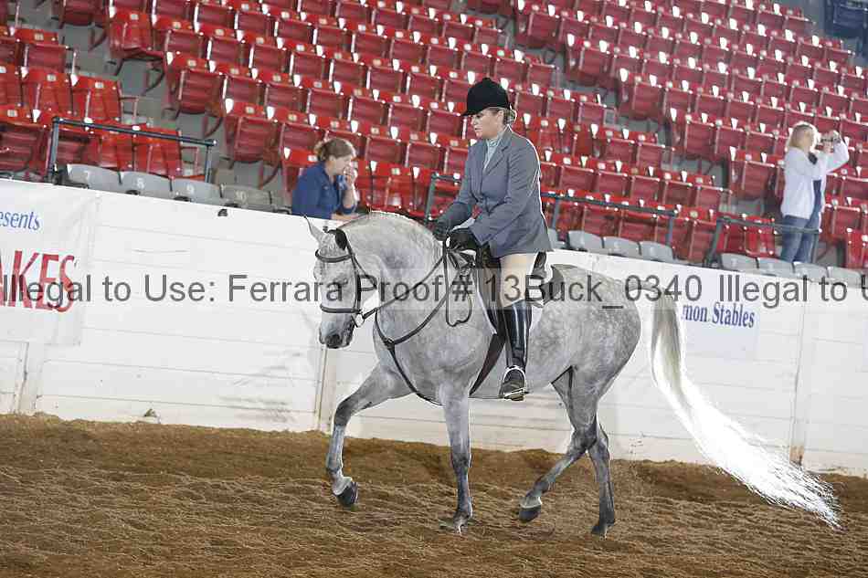 Proof 13buck_0340