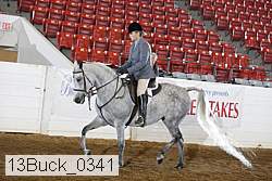 13buck_0341 proof