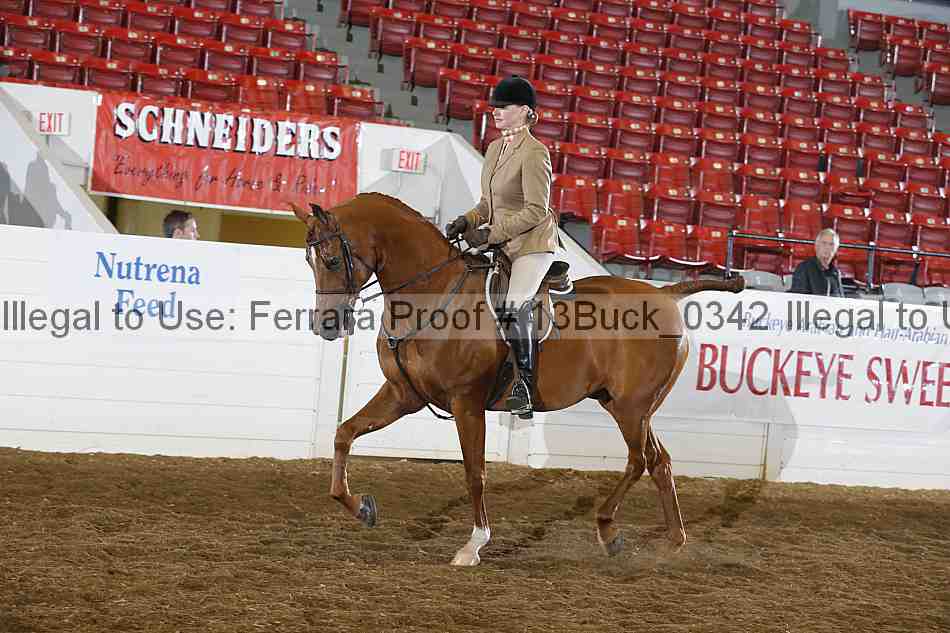 Proof 13buck_0342