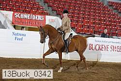 13buck_0342 proof