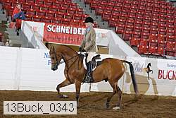 13buck_0343 proof