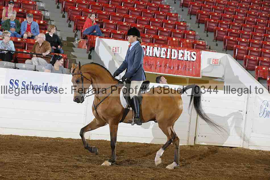 Proof 13buck_0344