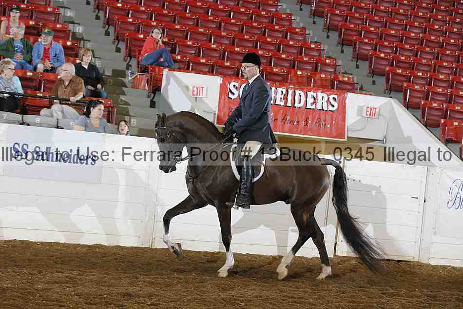 Proof 13buck_0345