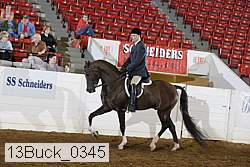 13buck_0345 proof