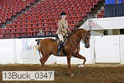 13buck_0347 proof