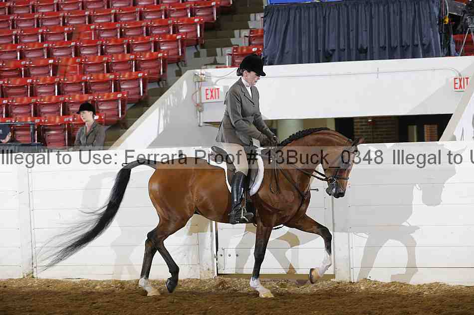 Proof 13buck_0348