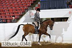 13buck_0348 proof