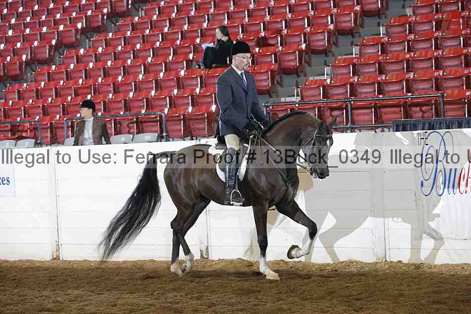 Proof 13buck_0349