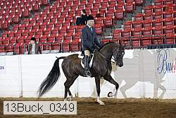 13buck_0349 proof