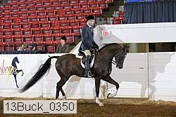 13buck_0350 proof