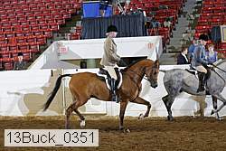 13buck_0351 proof